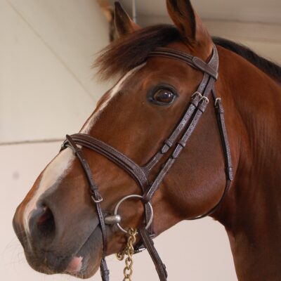 Butet Flash Noseband Bridle (2)