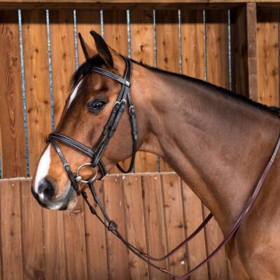 Dy'on Working Collection Classic Flash Noseband Bridle