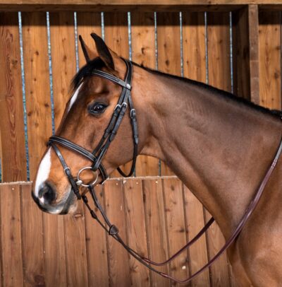 Dy'on Working Collection Classic Flash Noseband Bridle