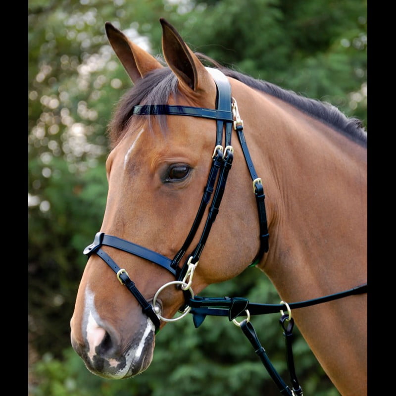 NEW ** CALDENE ** BROWN LEATHER " CROC EFFECT  NOSEBAND WITH FLASH ~ COB SIZE 