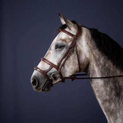 Dy'on New English Double Noseband Bridle