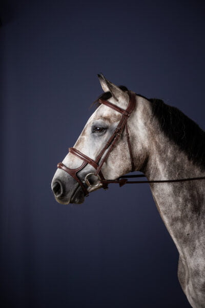 Dy'on New English Double Noseband Bridle