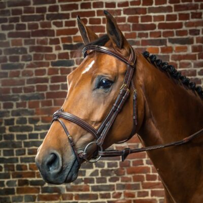 Dyon Collection Flash Noseband Bridle