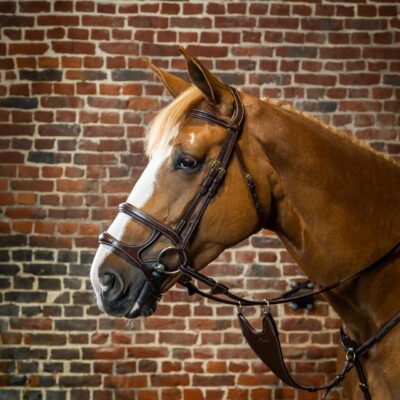 Dy'on Double Noseband Bridle