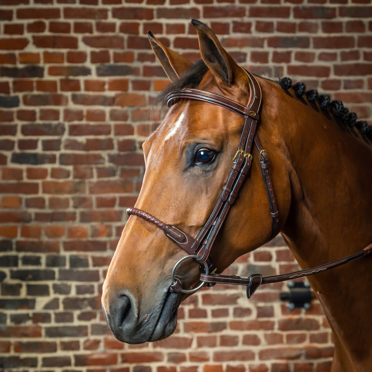 Dyon Collection Leather Covered Rope Noseband Bridle - Sederholm