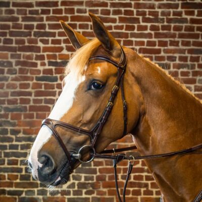 Dyon Collection X-Fit Bridle