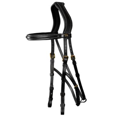 Dyon Collection Hackamore Bridle