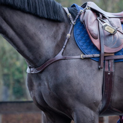 Breastplates & Martingales