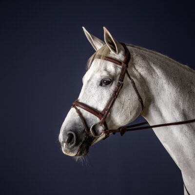 Dy'on New English Collection Flash Noseband Bridle
