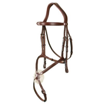 Dy'on New-English Grackle Bridle (2)