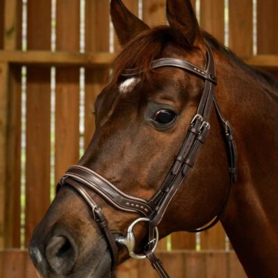 Dy'on Working Fit Bridle