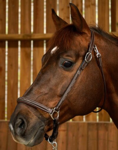 Dy'on Working Collection Grooming Headcollar - Image 3