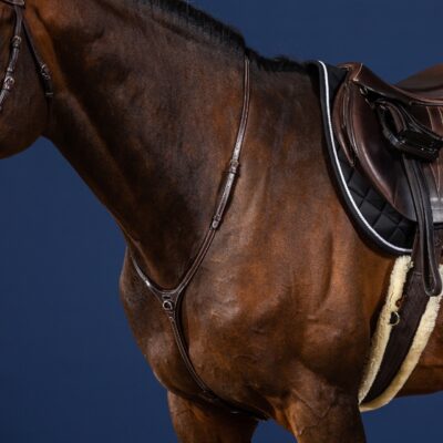 Dy'on US Collection Yoke Martingale
