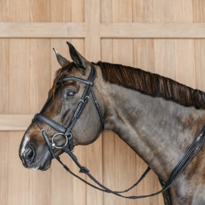 Dy'on New English Plaited Flash Bridle with Crank