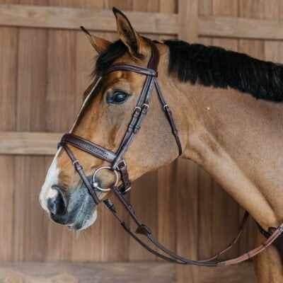 Dy'on New English Plaited Flash Bridle with Crank Brown