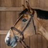 Dyon New English Plaited Flash Bridle