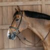 Dy'on Working Collection Training Bridle
