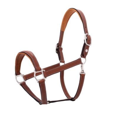 Butet Leather Headcollar 6