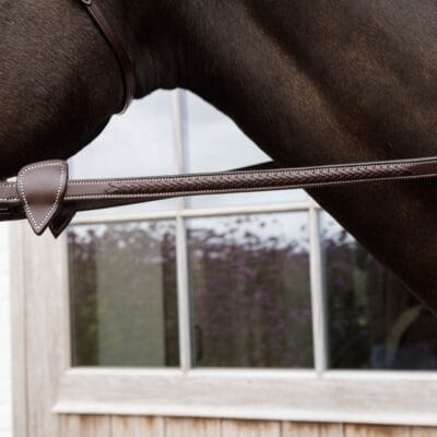 Dy'on Collection Rubber Reins with Loops & Plaited Finish