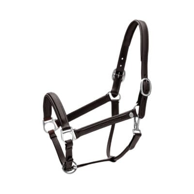 Dy'on Working Fancy Headcollar Black