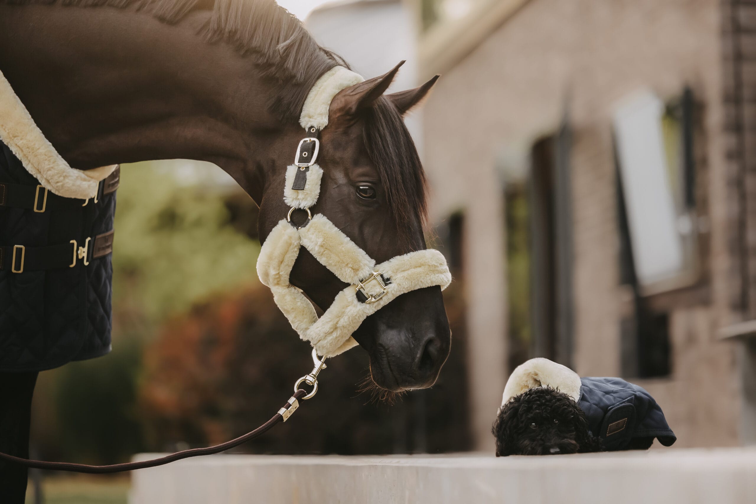 Kentucky Sheepskin Shipping Headcollar - Image 3