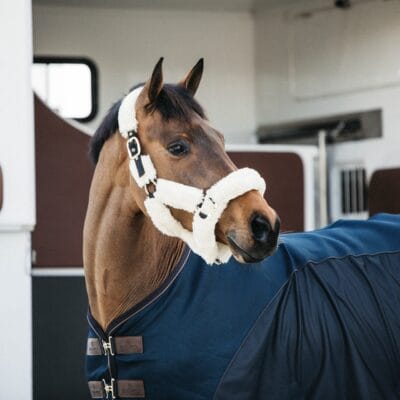 Kentucky Sheepskin Shipping Headcollar